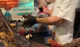 疫情以后吃瓜,揭秘网络舆论场的新现象