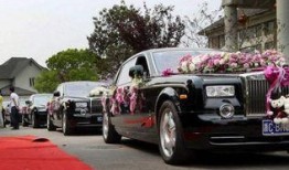 自由吃瓜基地最爱的车,揭秘最爱的梦幻座驾