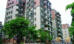 吃瓜临安小区,吃瓜群众视角下的临安小区风云录