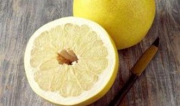 会吃瓜的柚子,揭秘瓜界新宠儿的魅力与故事