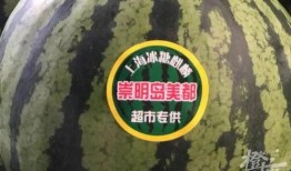 神秘吃瓜3,揭秘幕后真相，探寻娱乐圈风云变幻