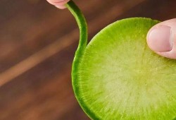 吃瓜肖战豆瓣,豆瓣热议背后的真相揭秘