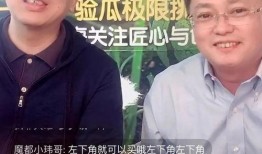 国产吃瓜直播,揭秘网络红人的幕后故事