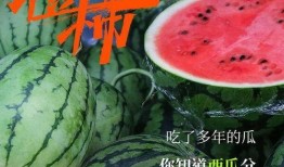 神秘吃瓜3,揭秘幕后真相，探寻娱乐圈风云变幻