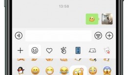 微信 吃瓜客服,揭秘网络红人的幕后助手