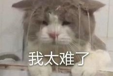 内娱吃瓜王,揭秘娱乐圈幕后风云