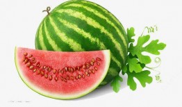 创意吃瓜照片素材高清,高清素材演绎视觉盛宴