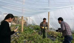 徐州吃瓜的群众,吃瓜群众的热议焦点