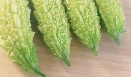 毛瓜可以直接吃吗怎么吃,轻松掌握美味毛瓜的食用方法