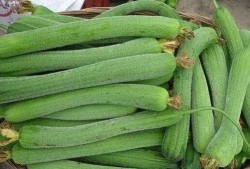 爱嘉哥吃瓜,揭秘娱乐圈那些不为人知的幕后故事