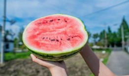 宁波陈琳梦吃瓜,揭秘网络红人的幕后故事