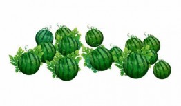 阿冰吃瓜,揭秘娱乐圈那些不为人知的幕后故事