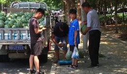 村口的吃瓜群众,揭秘乡村生活百态