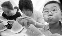 吃瓜大赛陪读,见证瓜界风云，笑谈娱乐圈百态