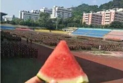 军训在旁边吃瓜,一场别开生面的“瓜事”