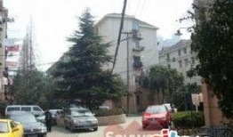 吃瓜临安小区,吃瓜群众视角下的临安小区风云录