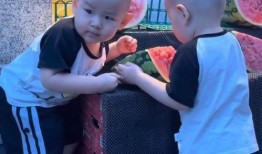 吃瓜双胞胎,揭秘娱乐圈的甜蜜“瓜”事