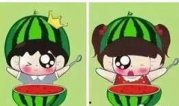 吃瓜不打咩,网络流行语的魅力与影响