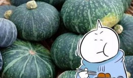 冬至吃瓜怎么吃,创意吃瓜新风尚