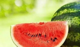 待君归 吃瓜,揭秘娱乐圈的甜蜜瓜田