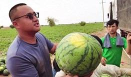 仁寿吃瓜新闻,揭秘当地热点事件背后的真相