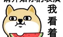 吃瓜的群众的一天,围观娱乐圈，笑谈人间百态