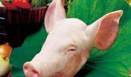 猪头特效吃瓜爆料,揭秘娱乐圈幕后真相