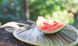 吃瓜有声书,揭秘娱乐圈幕后故事