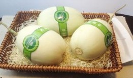 银时吃瓜,揭秘娱乐圈背后的那些事儿