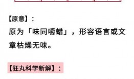 吃瓜是不是组词,揭秘网络热词背后的文化现象