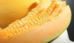 哈密瓜可以煮热吃,热煮美味，尽享瓜香四溢