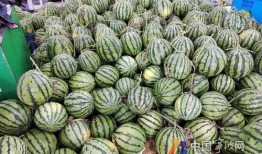 宁波陈琳梦吃瓜,揭秘网络红人的幕后故事