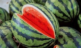 怎么吃瓜视频教程