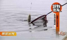 宜昌最新吃瓜,揭秘这座山水之城的热辣美食风云