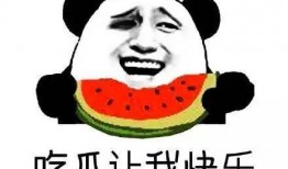 做文明吃瓜群众,共赏瓜界风云