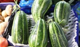 瓜是早上吃的,揭秘早上吃瓜的养生奥秘