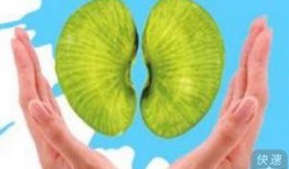 iga肾病能否吃哈密瓜,哈密瓜的适宜性探讨