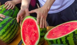 重庆学校吃瓜,吃瓜群众的味蕾探险记