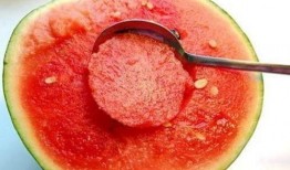 隔着玻璃吃瓜,品味瓜果的清新与甘甜