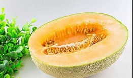吃瓜神器哈密瓜,夏日消暑的“吃瓜神器”