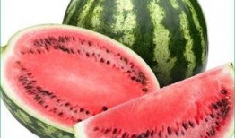 胃炎可以吃土瓜,天然食材的养生之道