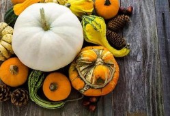 夏季吃瓜的国画,国画卷轴中的清凉时光