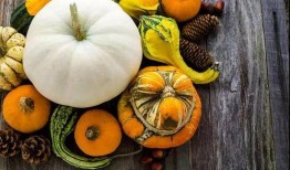 夏季吃瓜的国画,国画卷轴中的清凉时光