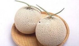 生理期可以吃哈密瓜吗,哈密瓜的养生之道