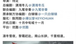 理性清醒吃瓜文案,揭秘娱乐圈背后的真相