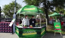 吃瓜梦广场,网络热点的诞生与传播