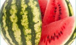 不要天天想着吃瓜,拥抱美好生活