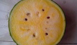 大家文明吃瓜,共享和谐网络空间