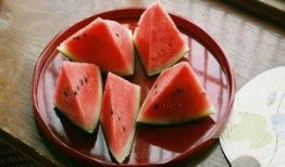 勺子吃瓜从哪里开始吃,勺子吃瓜的奇妙旅程