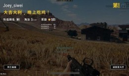 吃鸡高手的瓜,瓜中窥见电竞传奇